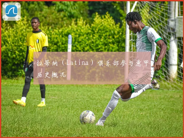 拉蒂纳（Latina）俱乐部参与意甲历史概况