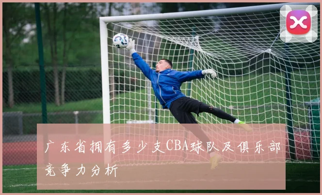 广东省拥有多少支CBA球队及俱乐部竞争力分析